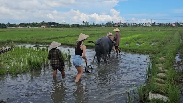 Hoi An Village Experience by Mr Cu