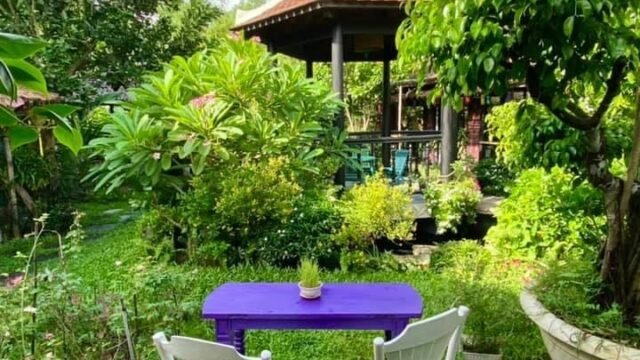 Bông Son Hội An Cafe