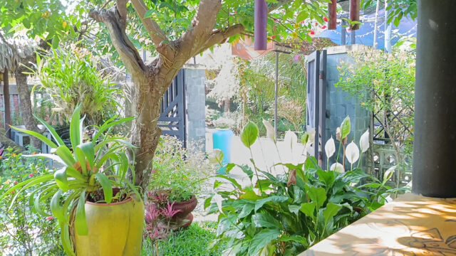 Bông Son Hội An Cafe