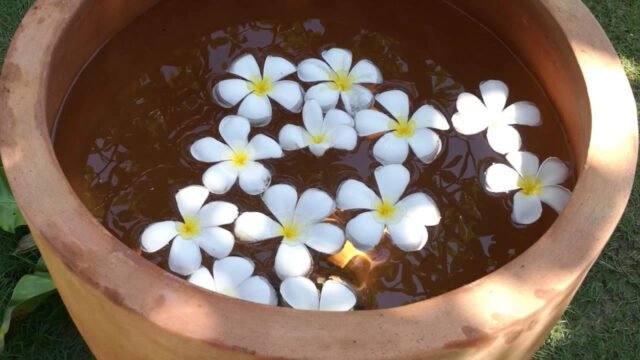 Palm Garden Resort Hoi An