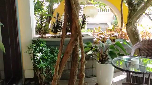 Son Hoi An Boutique Hotel & Spa