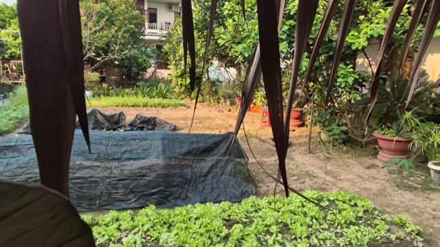 Vina Ngon Hoi An Restaurant