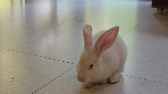 Botanic Restaurant & Bar