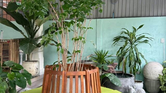 Sixth Sense Spa Massage For Men Hoi An