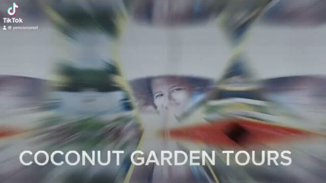 Coconut Garden Tours