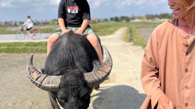 Hoi An Buffaloes Riding & Farming- Bicycles Tour