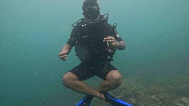 Blue Coral Diving