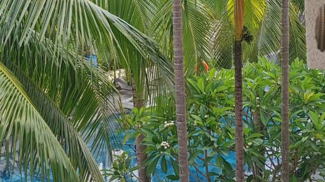 Almanity Hoi An Wellness Resort