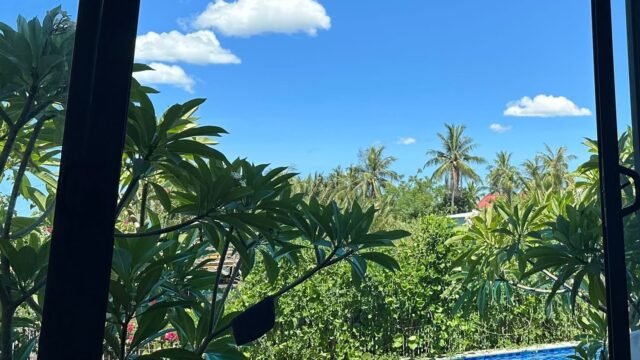 Creative Play Residency