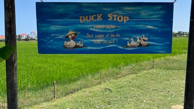 Duck Stop Hoi An