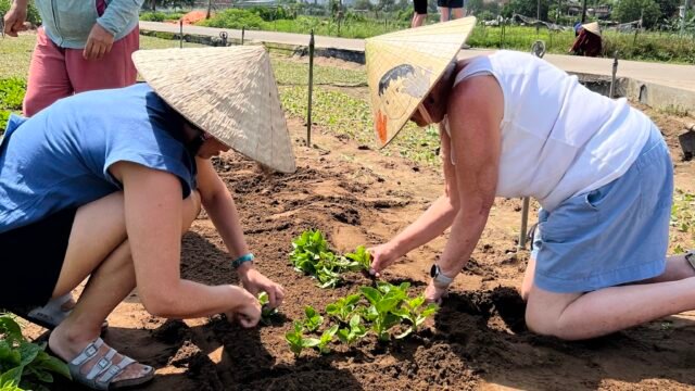 Happy cooking class Hoi an