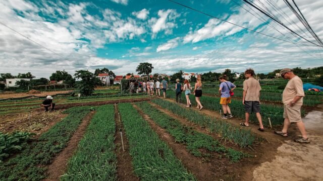 Minh Hien Vegetarian Cooking Class Tour