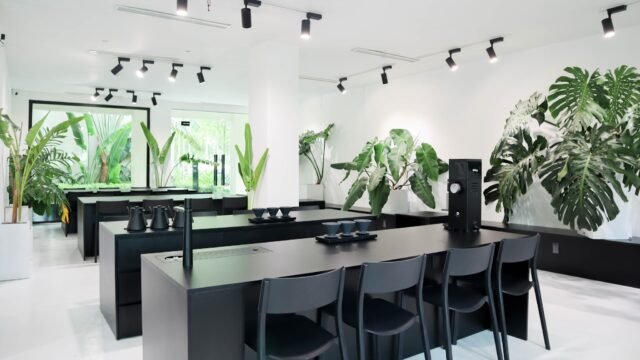 XLIII Specialty Coffee