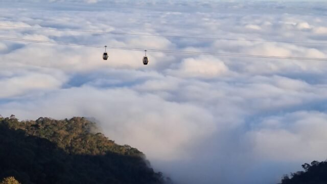 Hoi An Day Tours with Local Guide