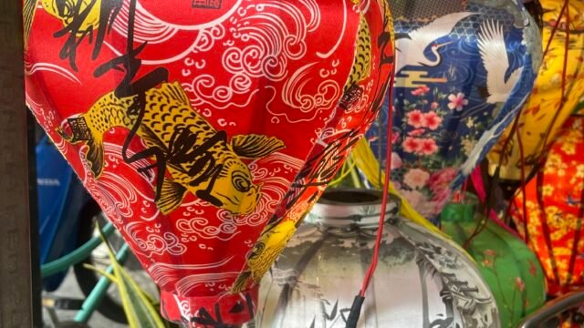 Hoa Mai lantern working 2