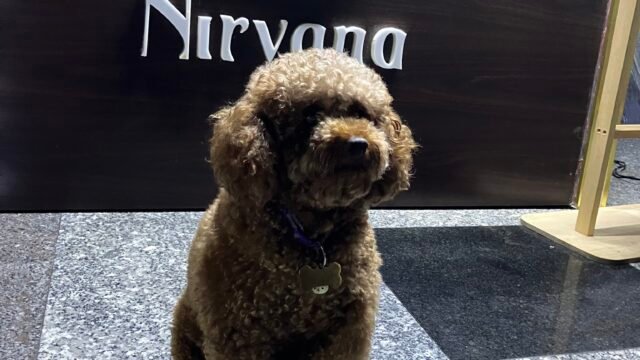 Nirvana Spa Hoi An & Nail