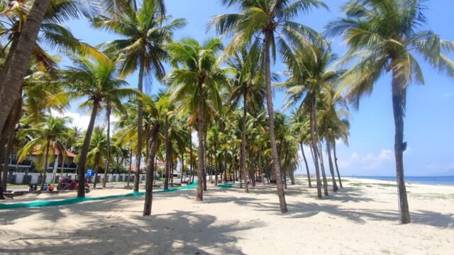Cua Dai Beach