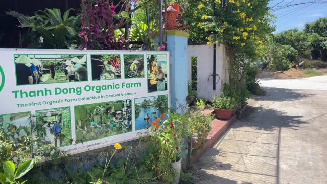 Thanh Dong organic garden restaurant,Basket boat & Cooking class