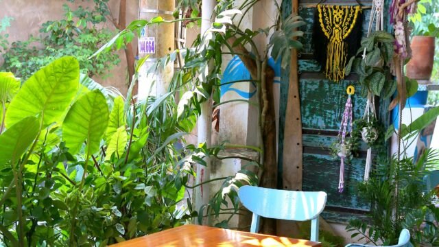 XUA ZONE Coffee & Craft