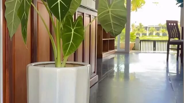 Riverside White House Hotel