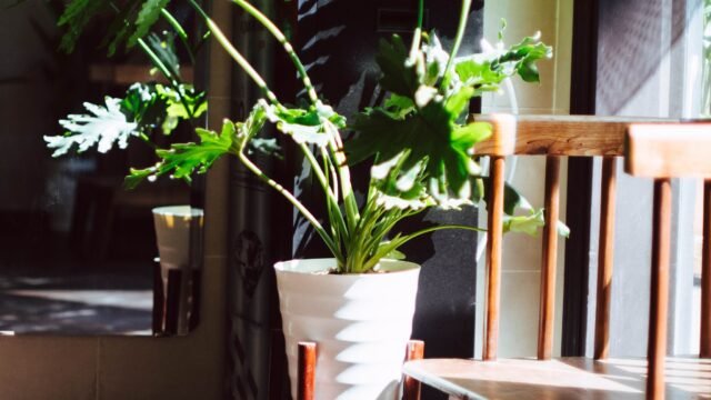 First Hoianese Center Hotel