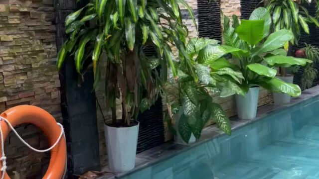 Serenity Villa Hoi An