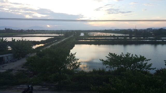 Paddy’s Hostel & Sports Bar