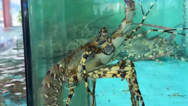 Đại An SeaFood Restaurant