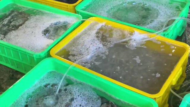 TÝ NỰ Seafood Restaurant