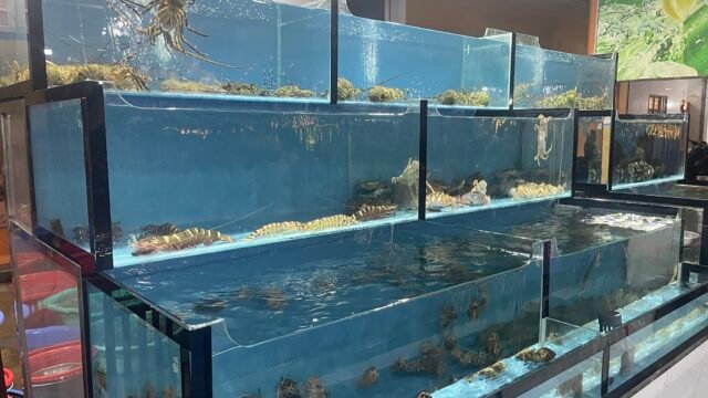 Nhà hàng Hải sản Thu Hà