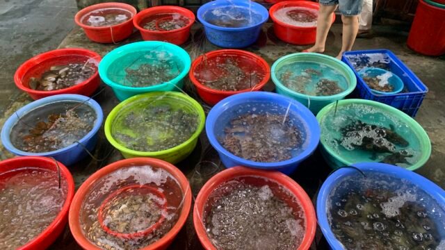 Nhà hàng Hải sản Thu Hà