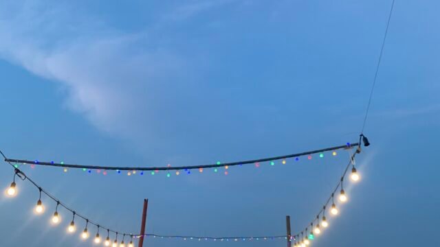 Wild Beach Restaurant