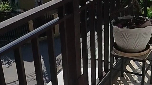 Nha luu tru Quynh Chau Hoi An