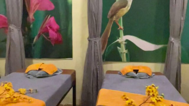 Sun Yoga And Spa Hoi An Academy