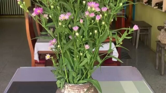 Cỏ Hồng Restaurant