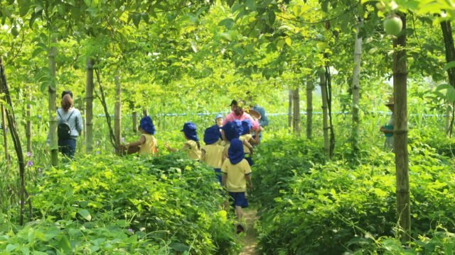 Trang trại hữu cơ An Farm Hoi An