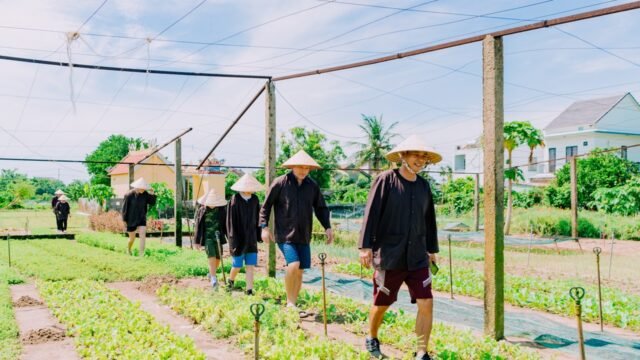 Lemon Basil Cookery & Restaurant