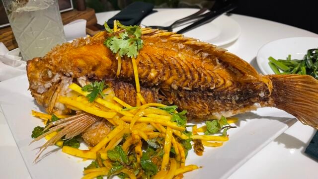 Morning Glory Original