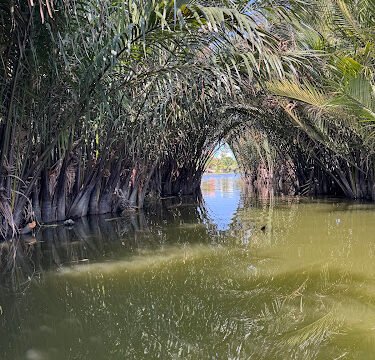 Coconut Basket Boat Tour With Yen