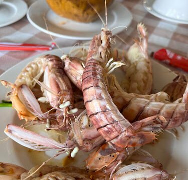 TÝ NỰ Seafood Restaurant - Nhà Hàng Hải Sản Tươi Sống Hội An