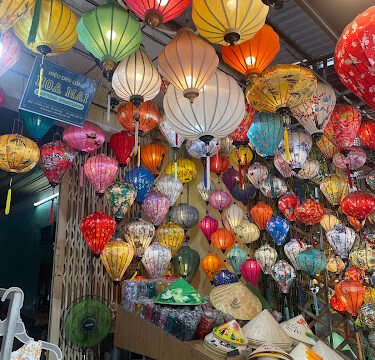 Hoa Mai lantern working 2