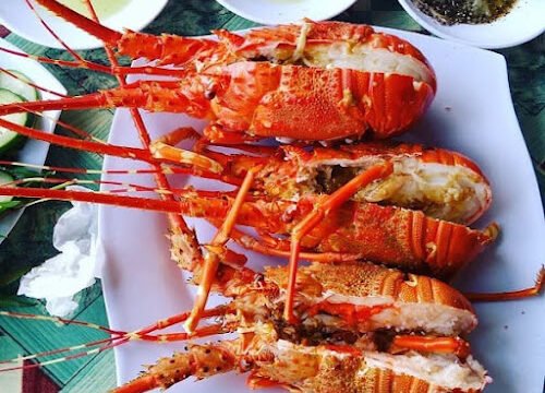 Nhà hàng Hải sản Thu Hà ( Restaurant Seafood )