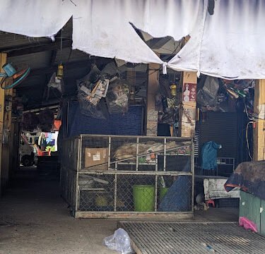 Early Morning Local Market