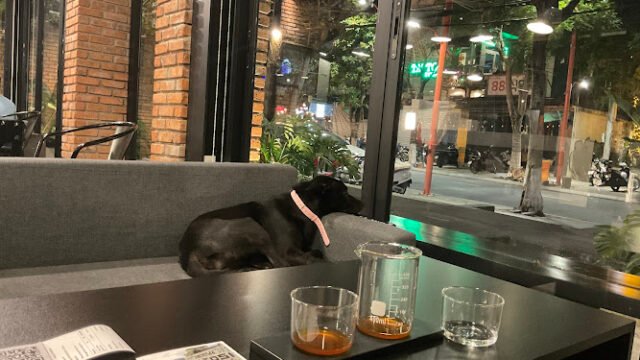 XLIII Specialty Coffee