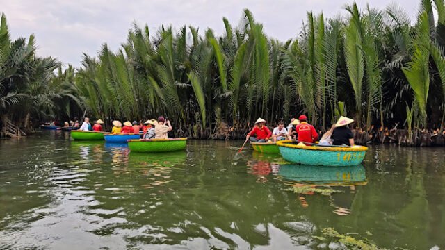 Coconut Garden Tours