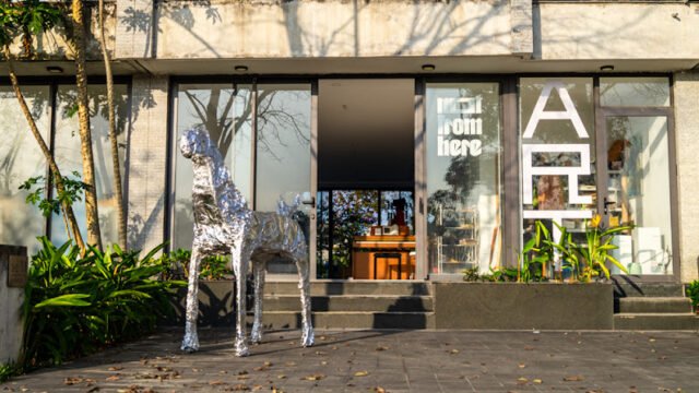 Art Gallery “Not From Here”