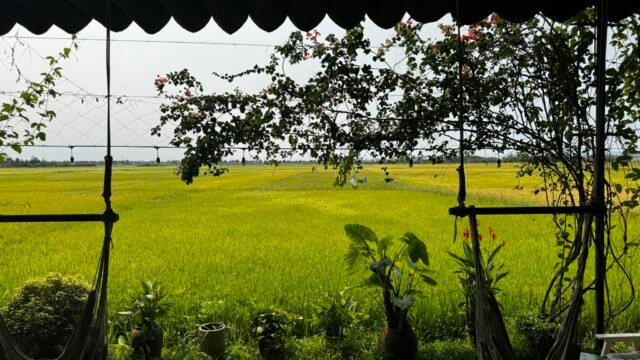 View from Hub Hoi An