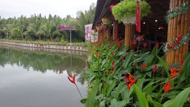 Bay Mau Cooking Tour