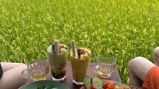 NGHÉ Rice Paddy Cafe