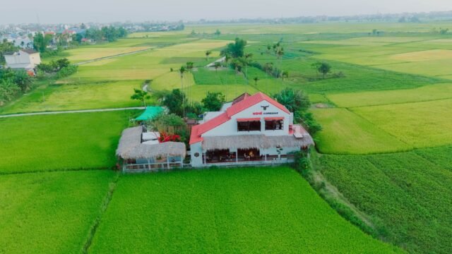 NGHÉ Rice Paddy Cafe